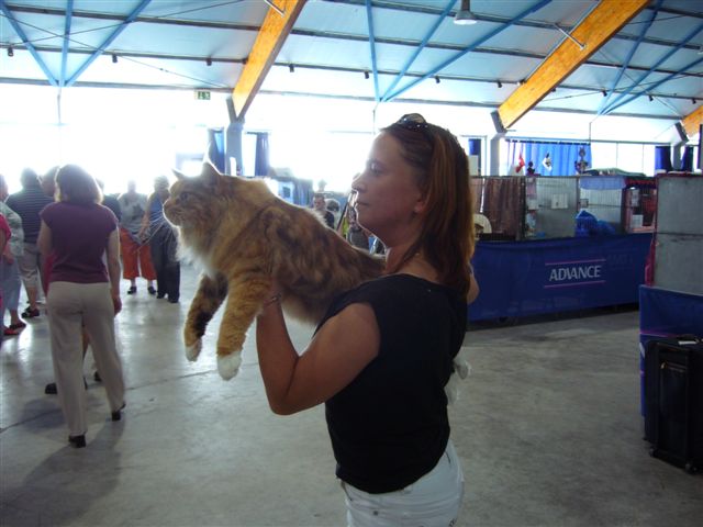 Linda menos tuomaril Weil am Rhein.jpg